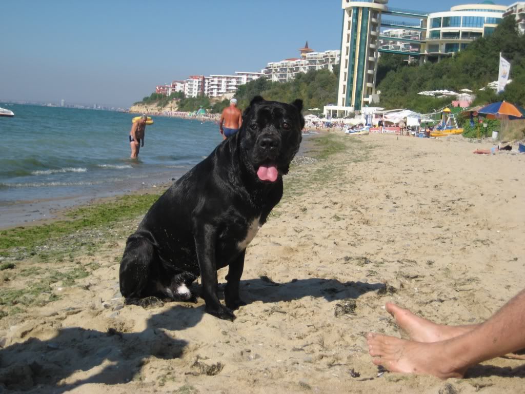 Качена снимка