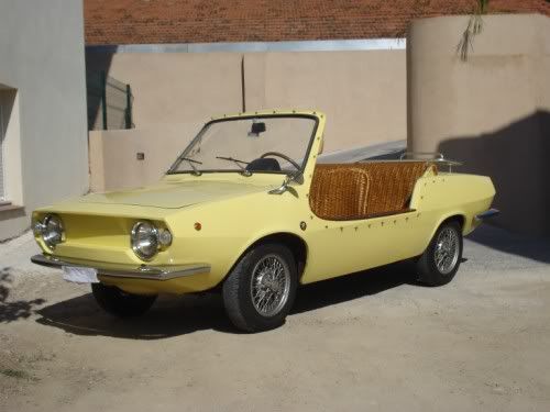 Beachcarfiat850shellette.jpg