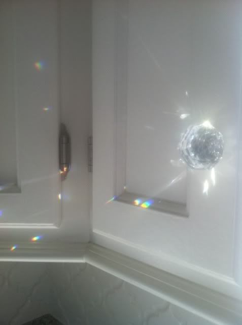 Uploaded from the Photobucket iPhone App