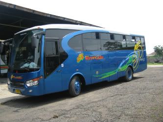 karoseri, bus pointer