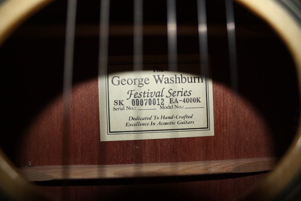 washburn guitar serial number database