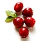cranberries. Pictures, Images and Photos