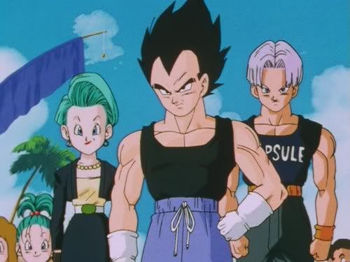 Dragon+ball+z+vegeta+and+bulma+fanfiction