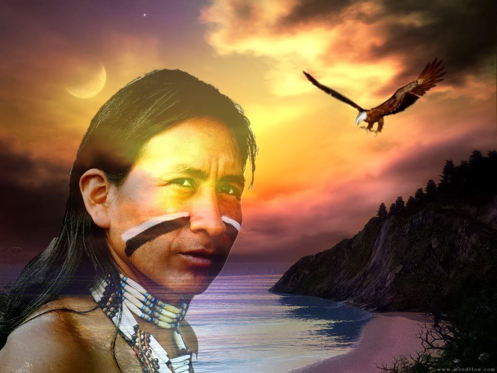 american native Pictures, Images and Photos