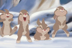 RABBITS JUMPING Pictures, Images and Photos